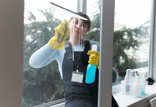 Nettoyage de vitres intérieures et extérieures à Saint-Christophe-d'Allier